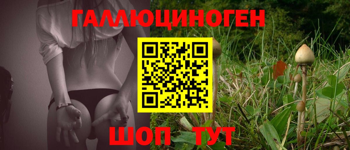 Псилоцибиновые грибы Magic Shrooms  Вход с VPN  Шарыпово 